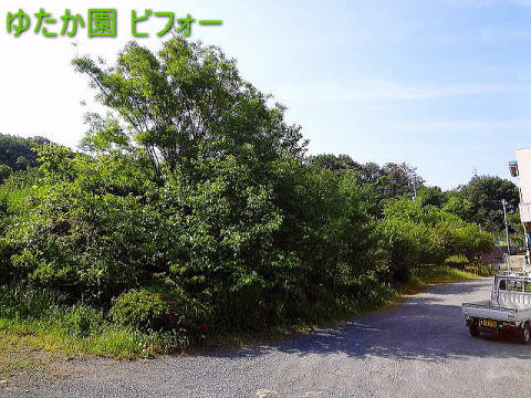 ccWA  ʌ rtH[