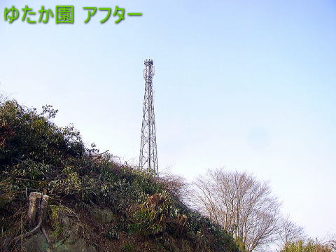 Rє ʌ At^[