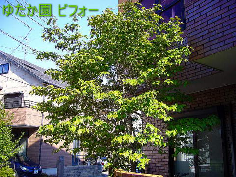 ni~YL ns rtH[