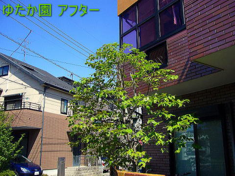 ni~YL ns At^[