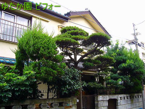 aA͎  rtH[