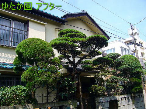 aA͎  At^[