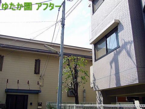 PL  At^[