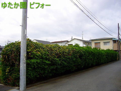 qo cJ rtH[